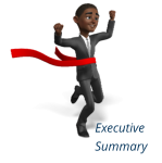 Executive Summary